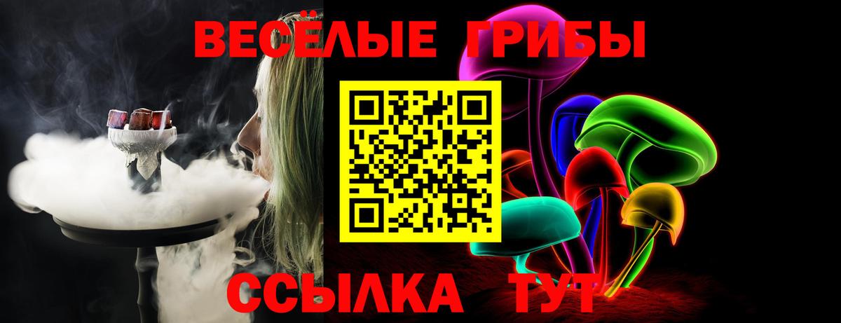Псилоцибиновые грибы прущие грибы Ковров